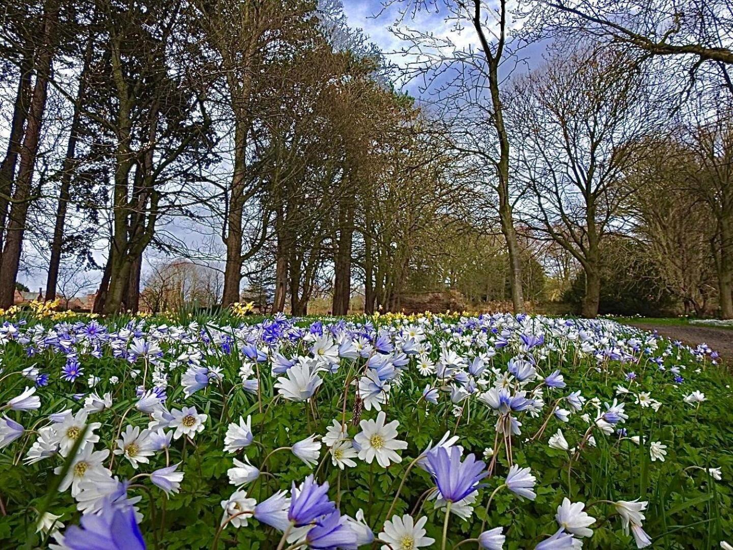 Thornton Manor - Holiday Cottages And Apartments 헤즈월 객실 사진